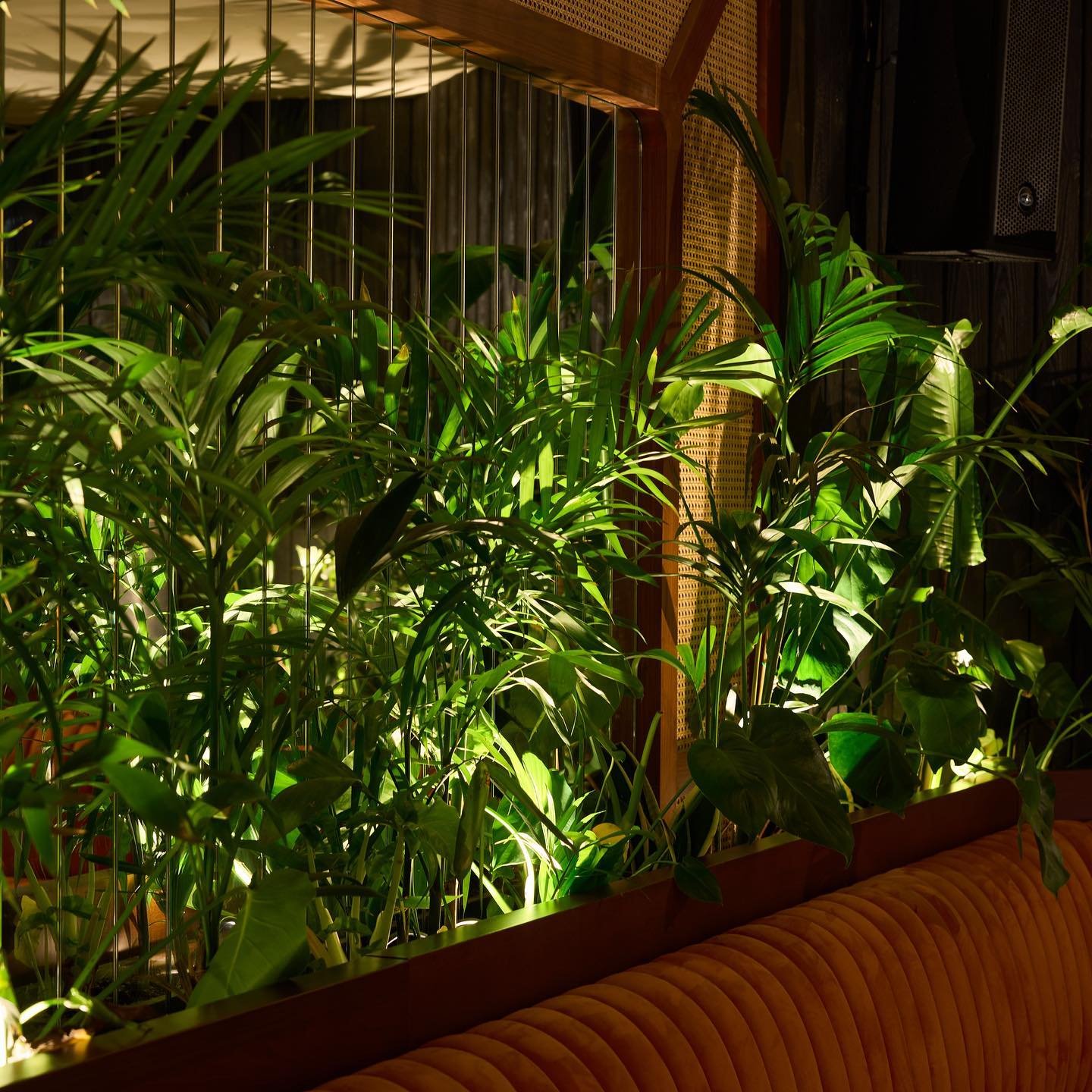 374976600_316307327548568_3193761302518157785_n